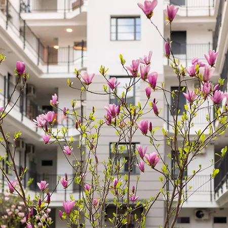 Apartmán Magnolia Hotel-greentop