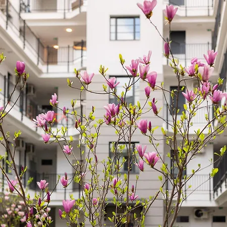 Lejlighed Magnolia Hotel-greentop