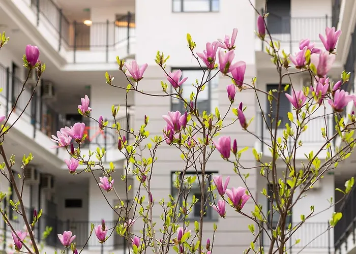 Appartamento Magnolia Hotel-greentop